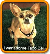 The Taco Bell Chihuahua