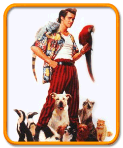 Ace Ventura, Pet Detective