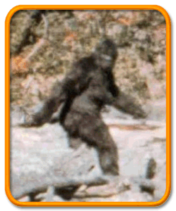 bigfoot.gif