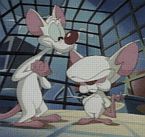 Pinky and The Brain