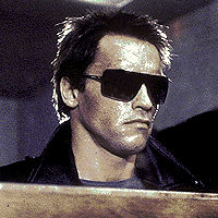 The Terminator, Arnold Schwarzenegger